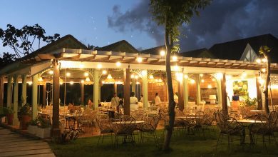 Photo of Cayo Levantado Resort apuesta a la gastronomía sostenible brindando una experiencia Slow Food