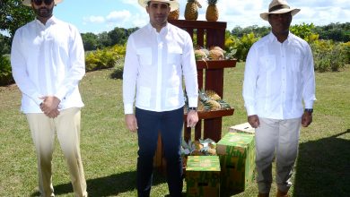 Photo of Embajadores dominicanos visitan proyecto de piñas de Monte Plata